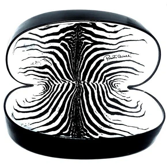 ROBERTO CAVALLI WOMENS SUNGLASSES - Picture 6 of 7